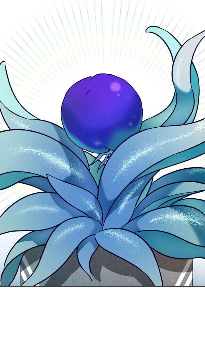 thực vật trị liệu chapter 3 25