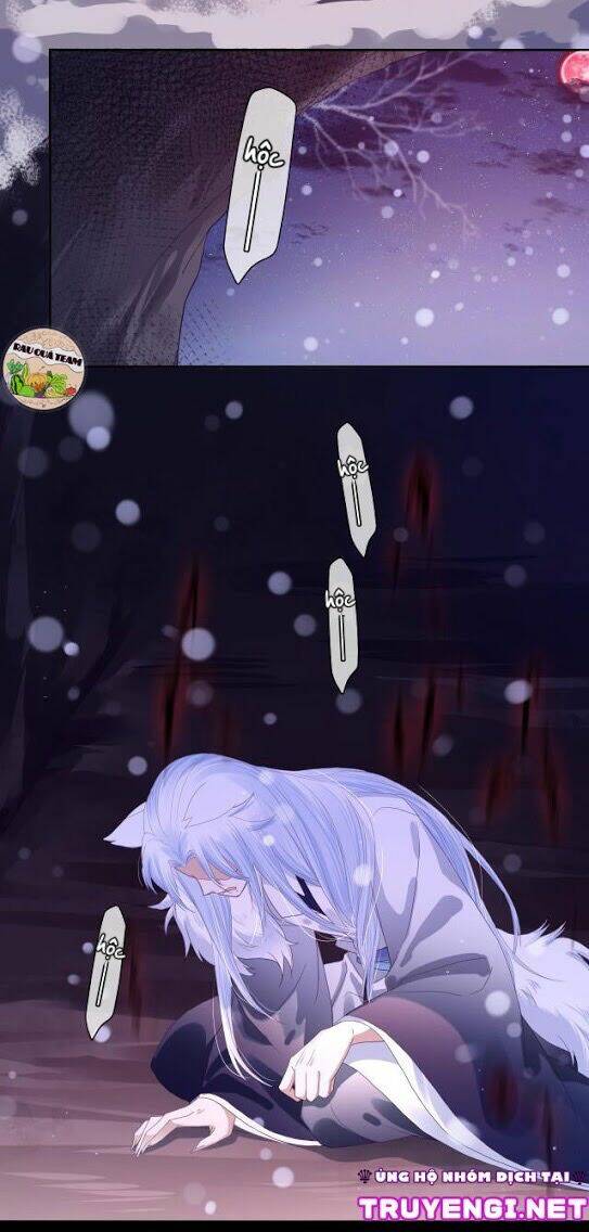 hắc hóa nam chính trực tuyến nuôi thỏ chapter 3 19