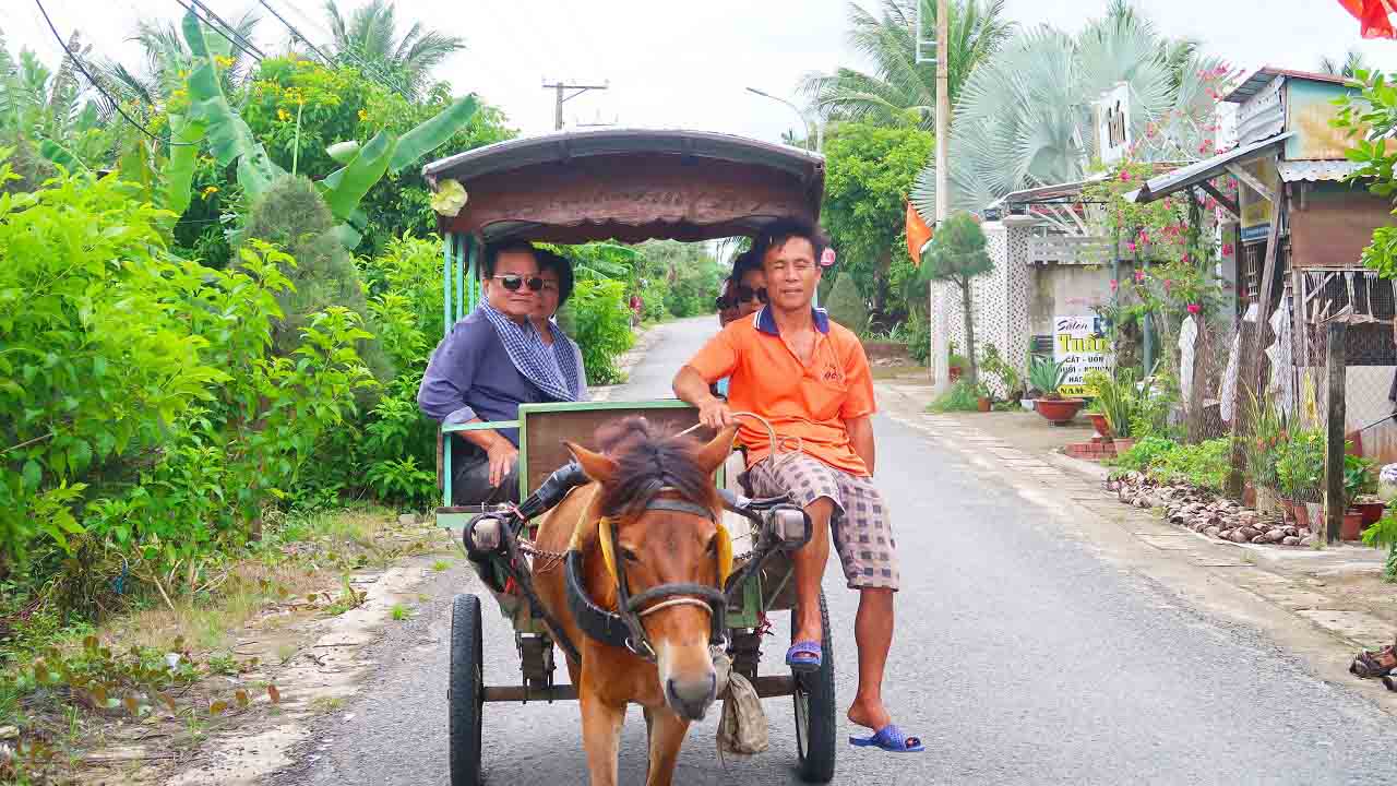 Tour du lịch Cồn Thới Sơn Tiền Giang – Khám phá sông nước miền Tây