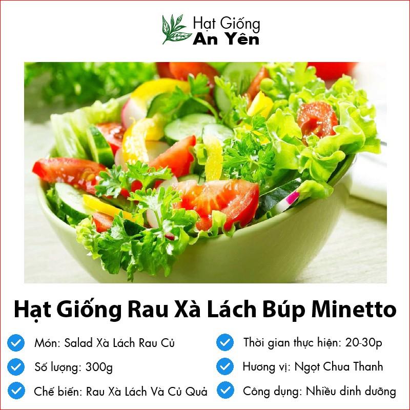 Hạt giống rau Xà Lách chịu nhiệt thu hoạch sớm, dễ trồng, nảy mầm cao, sinh trưởng khoẻ