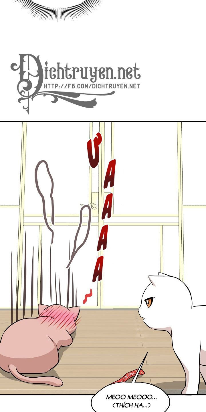 cuộc sống kỳ thú chapter 44 56