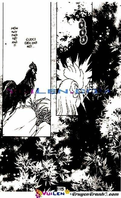 đóa hoa yêu kiều chapter 2 116