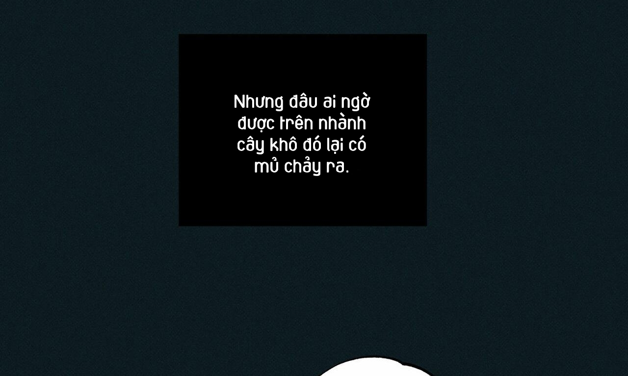 chàng giao pizza và gold palace chapter 33 153