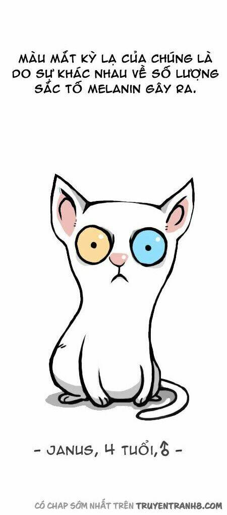 earth, human, and animal chapter 12 6