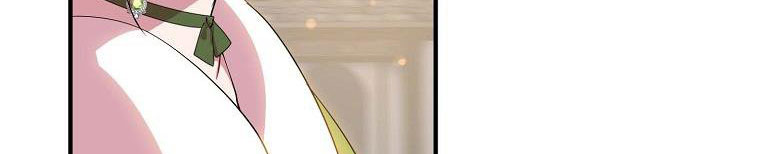 tôi sẽ cố gắng bảo vệ em gái chapter 26 95