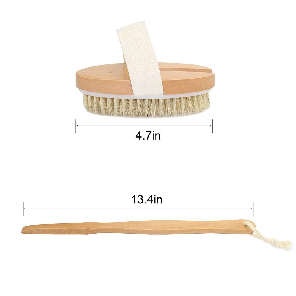 Cọ Lưng Tre Chải Khô và Ướt MASA1010