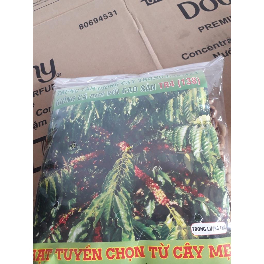 200 gram Hạt giống Cà Phê Vối cao sản TR4