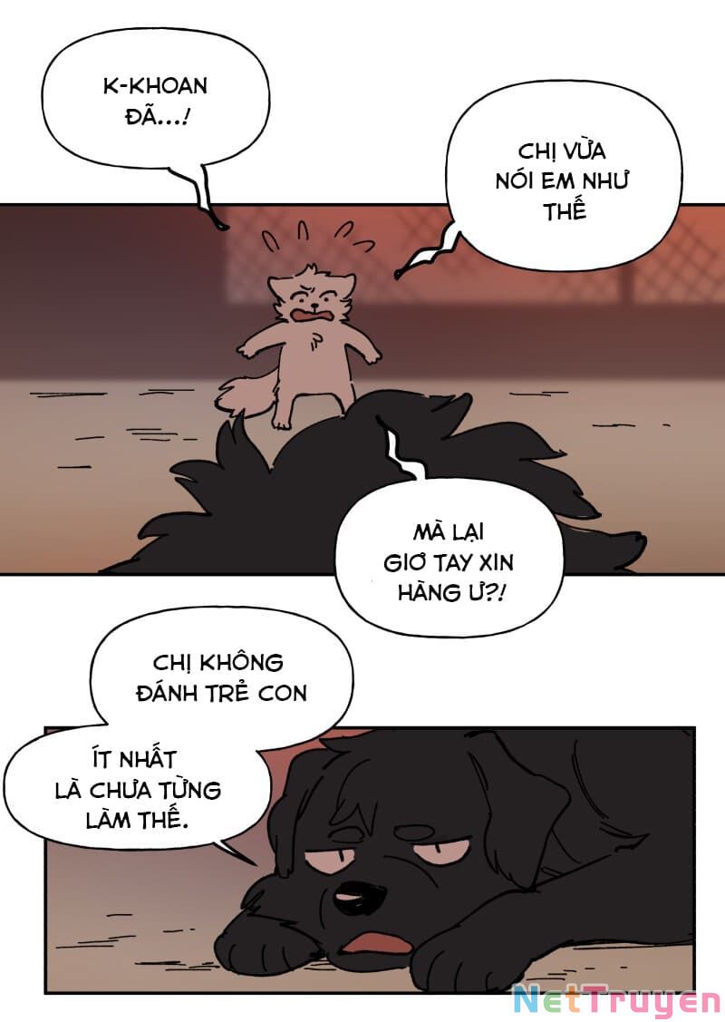 lumine - cội nguồn ánh sáng chapter 113 48