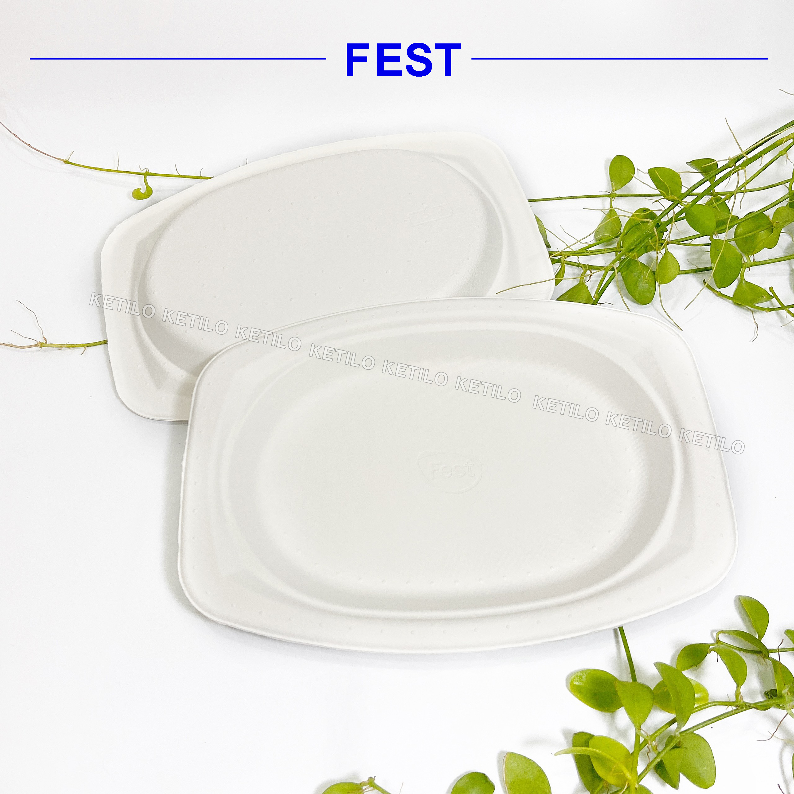 Combo 20 Dĩa Giấy FEST BIO OVAL PLATE 6.5 Inches THÁI LAN Hàng Nhập Khẩu Cao Cấp, Dùng Được Trong Lò Vi Sóng, Lò Nướng Dùng 1 Lần, An Toàn Thân Thiện Môi Trường - CHÍNH HÃNG F006 (Tặng Móc Khóa KETILO)