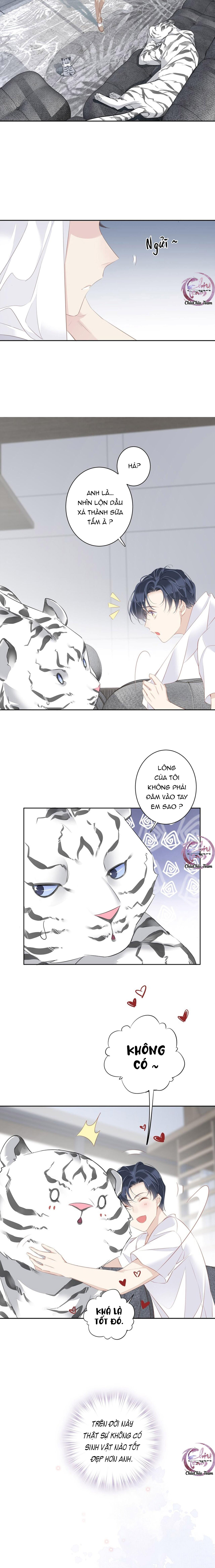 cuộc mai mối vượt giống loài chapter 35 9