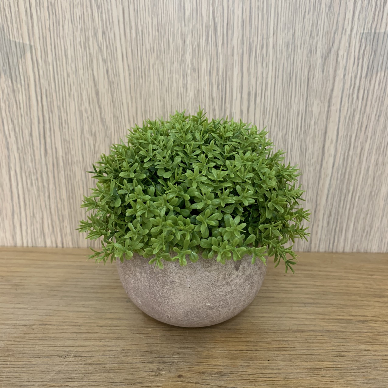 Chậu cỏ giả bonsai mini trang trí - Để bàn