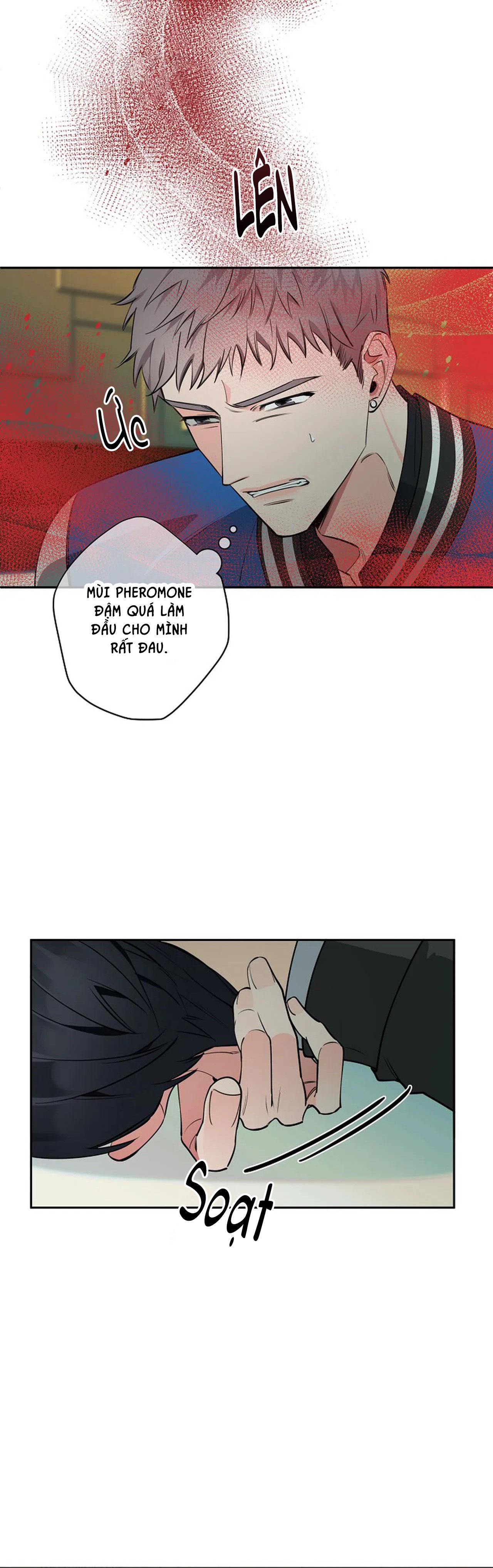 đêm dịu dàng chapter 37 5