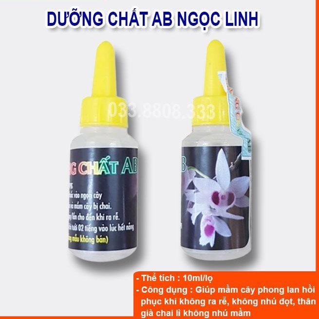 Dưỡng Chất AB Giúp Phục Hồi Mầm Gốc, Kích thích Ra Rễ, Nuôi Dưỡng Mầm Hoa