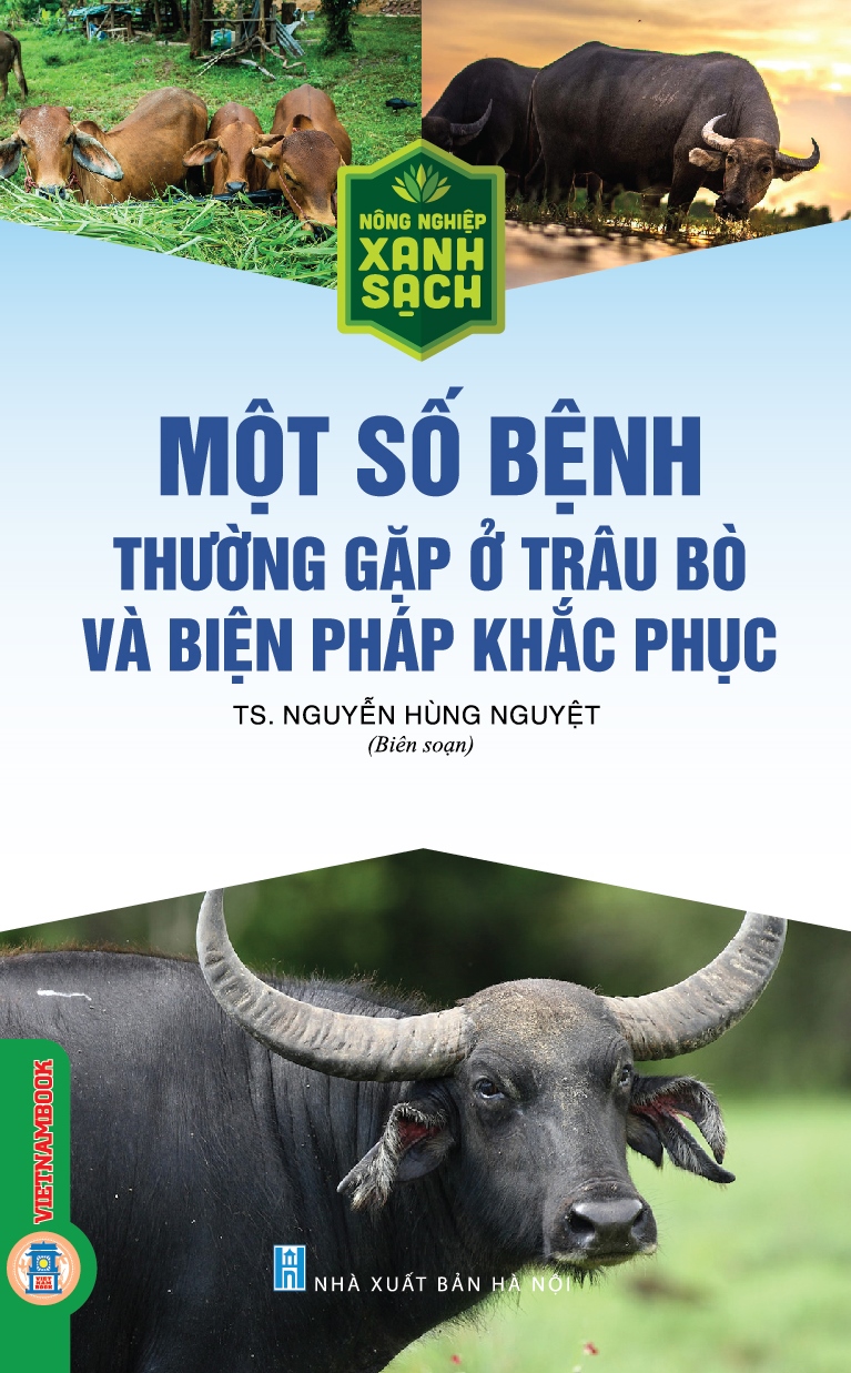 Một Số Bệnh Thường Gặp Ở Trâu Bò Và Biện Pháp Khắc Phục