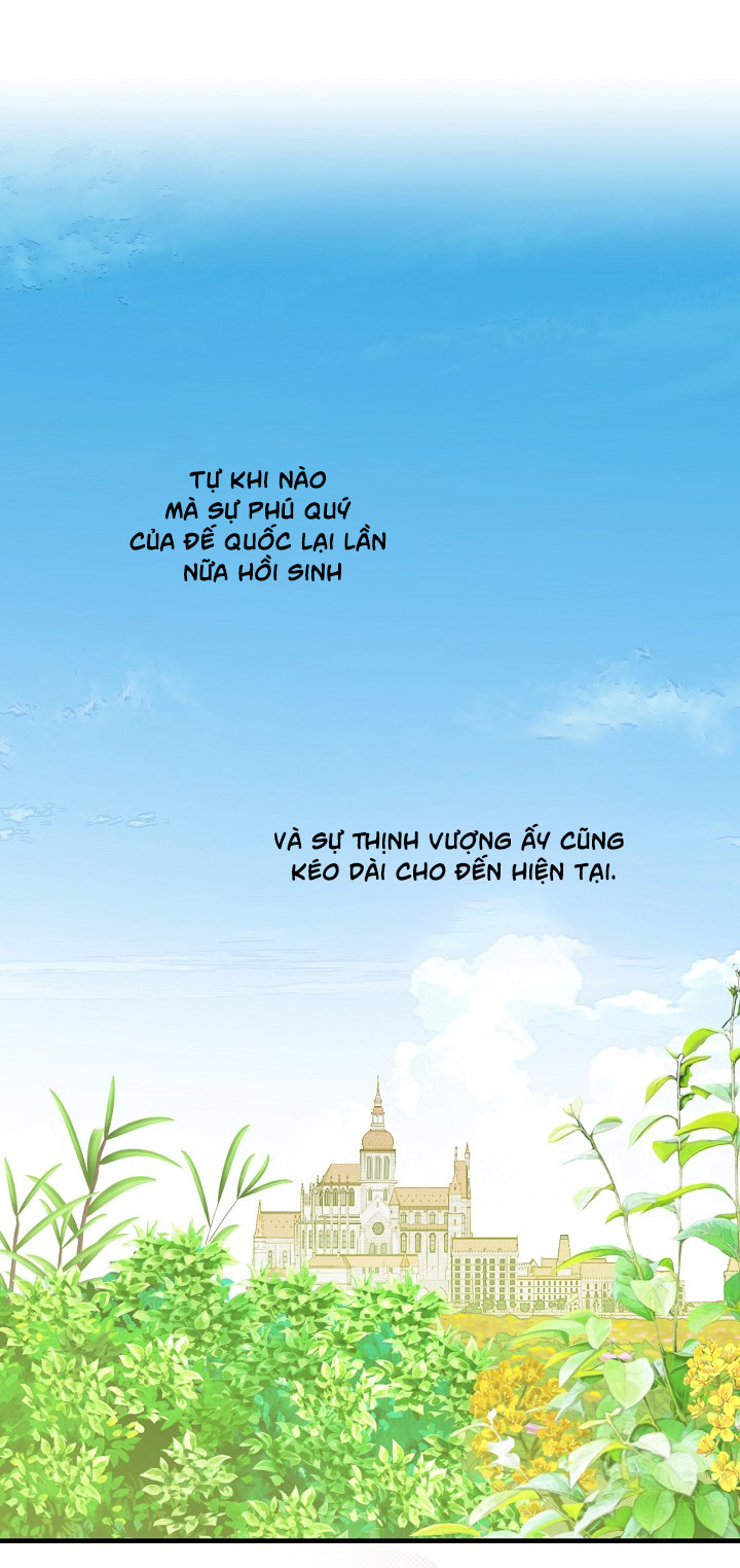 tiểu thư bí ẩn chapter 1 26