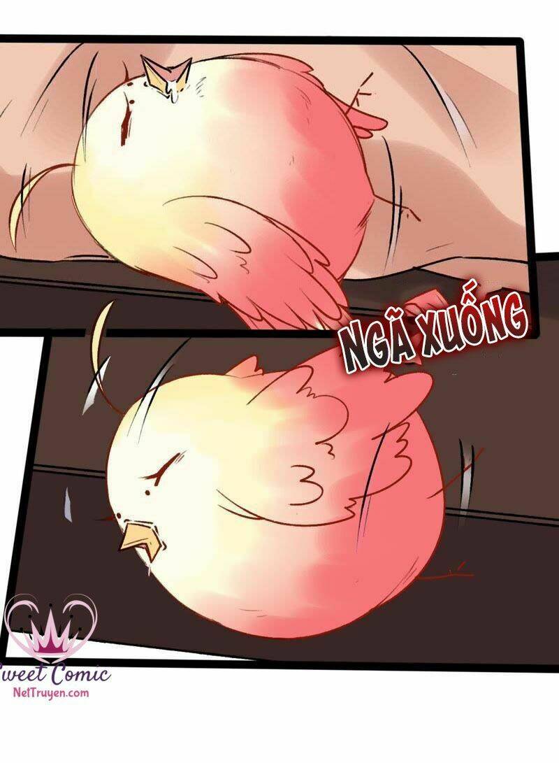 thịnh sủng kiều nữ trở về triều ca chapter 26 20