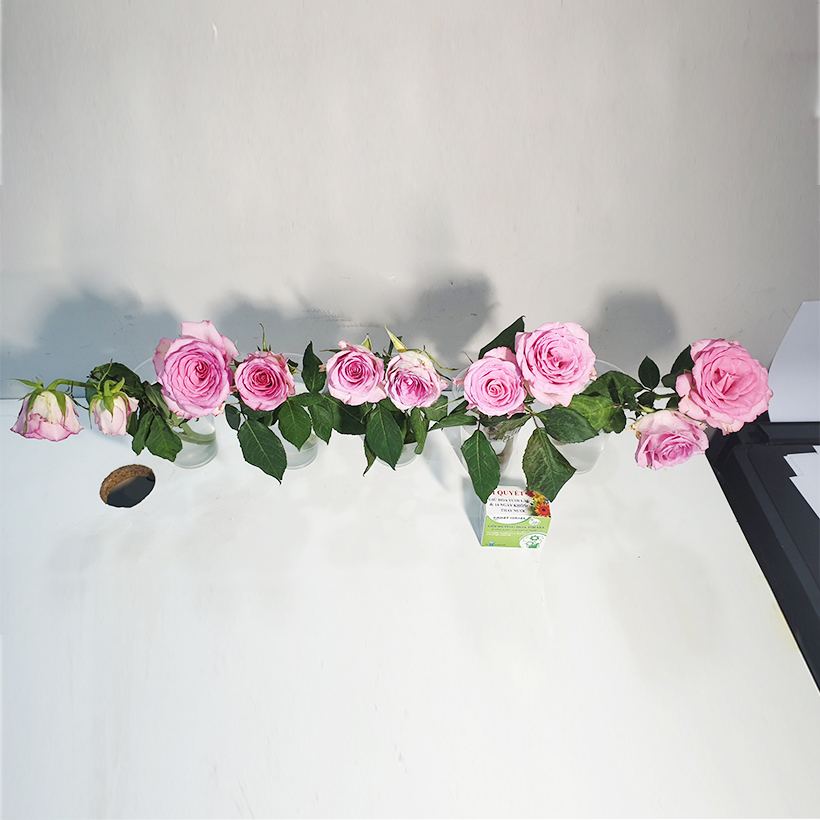 Dinh Dưỡng Giữ Hoa Hồng cắm bình Lâu Tàn - Food For Cut Flowers giúp hoa luôn tươi mớ, cứng cáp gấp 2 lần và trong 14 ngày không thối nước hay cắt tỉa gốc hoa, nhập khẩu Israel