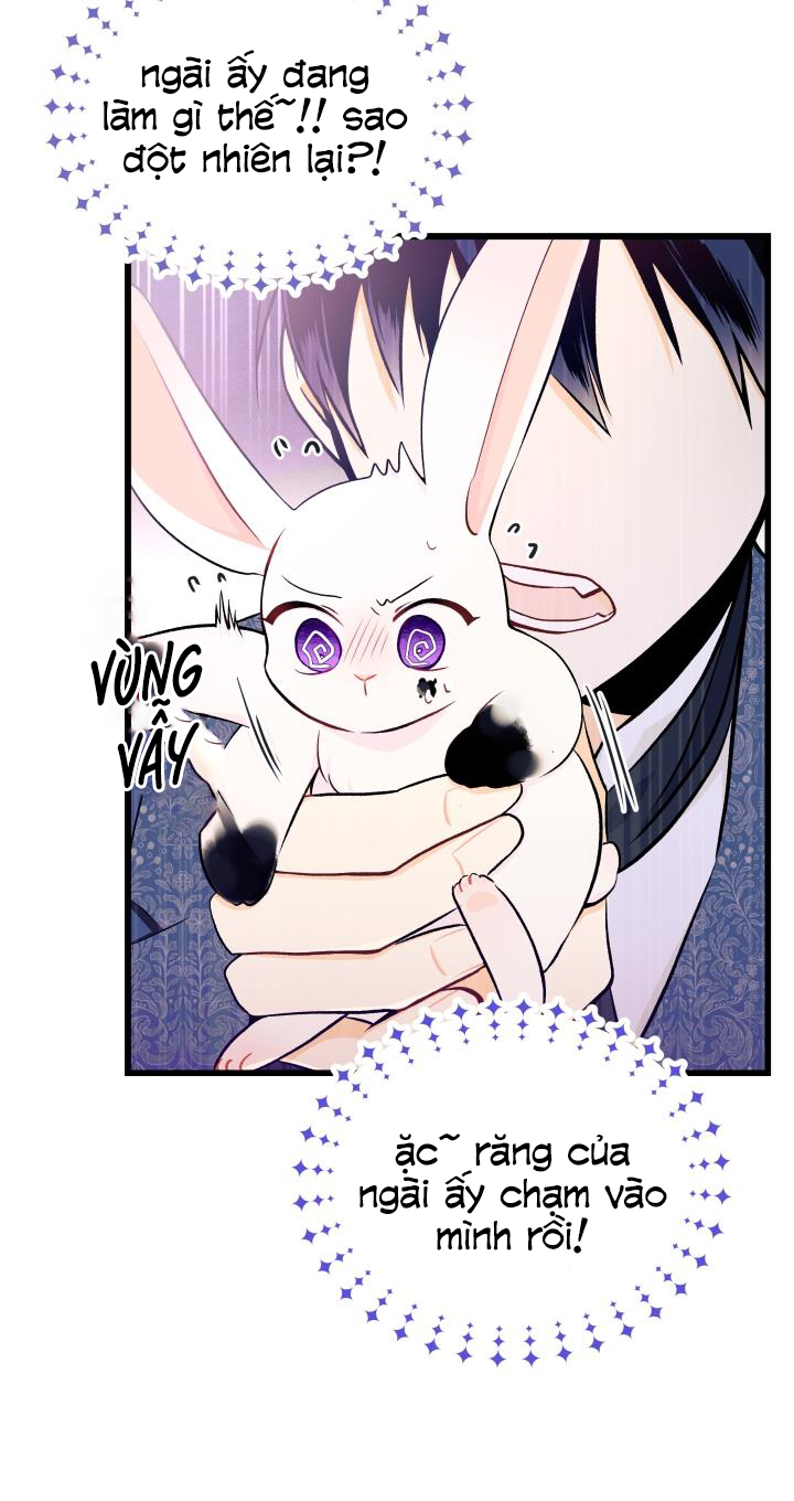 mối liên kết giữa báo đen và bé thỏ chapter 10 54