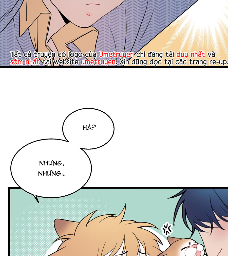 rốt cuộc bé mèo đang nghĩ gì ? chapter 12 2