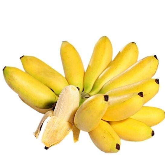 CÂY GIỐNG CHUỐI CAU