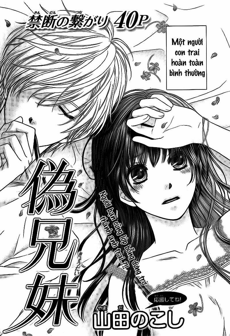 step siblings chapter 1 3