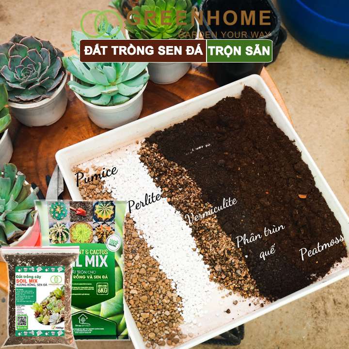 Đất Trồng Sen Đá Greenhome, Bao 1kg, Soil Mix, Trộn Sẵn, Tiện Lợi, Đầy Đủ Dinh Dưỡng, Thoát Nước Tốt, Cây Nhanh Lớn