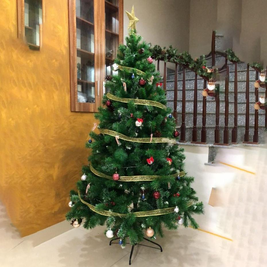 Cây thông noel 3 LOẠI LÁ GẮN TRÁI THÔNG 1M5 1M2 90CM tặng ngôi sao đỉnh và dây kim tuyến