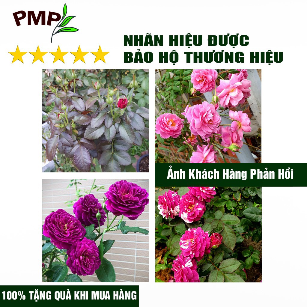 Combo Siêu Phân Bón SOYMIC & Phân Hữu Cơ Super Probio Vi Sinh PMP Chuyên Dụng Cho Hoa Hồng, Rau Củ Quả