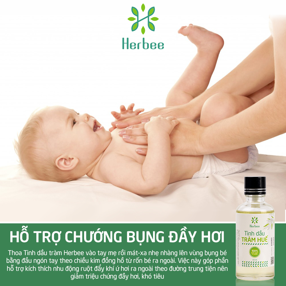 Tinh Dầu Tràm Herbee (50ml), Dầu Tràm Nguyên Chất, Giữ Ấm Cơ Thể Khi Trời Lạnh, Chiết Xuất 100% Từ Lá Tràm Gió Huế