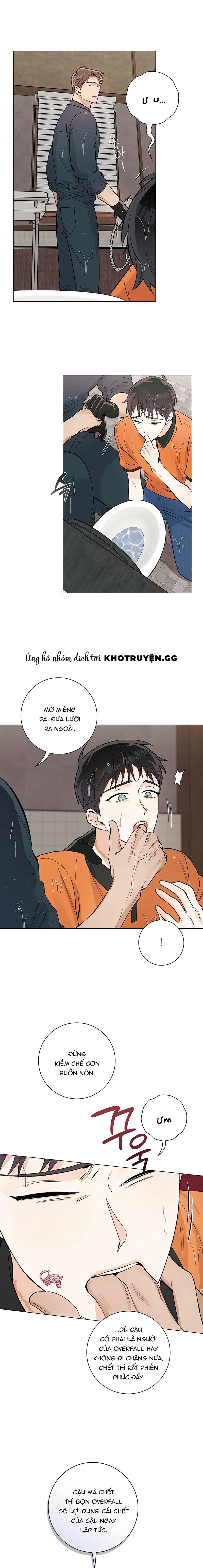 tiếng đập con tim chapter 11 17