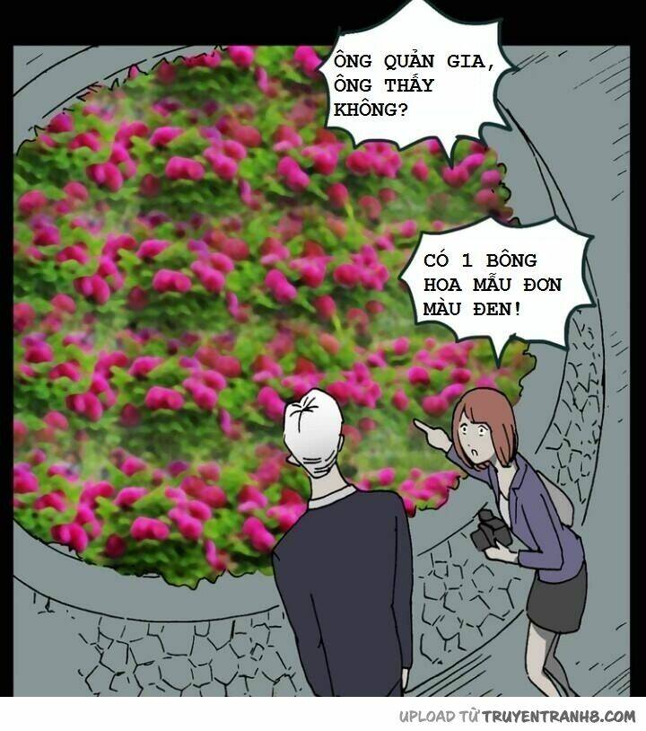 hoa mẫu đơn đen chapter 7 15