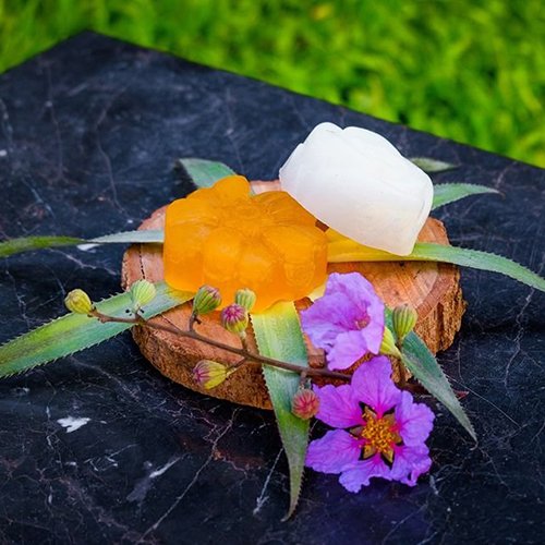 SINH DƯỢC SET 10 xà bông thiên nhiên Sinh Dược đủ 10 vị, xà phòng handmade Soap 100gr Organic hữu cơ thảo mộc tự nhiên sạch khuẩn ngăn ngừa mụn lưng, mặt, hôi nách viêm nang lông - GIATHANH STORE