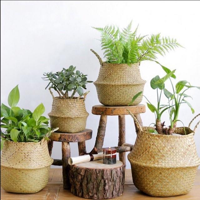 Giỏ cói tự nhiên kích thước 25cm x 27cm - Dùng để đựng đồ, trồng cây trang trí, decor