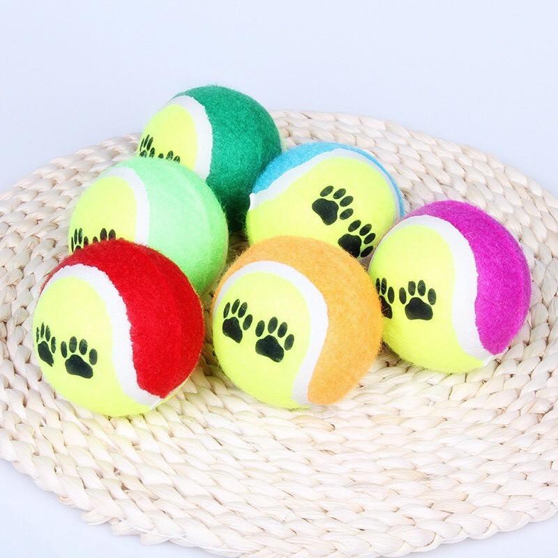 Bóng tennis dùng để chơi/ tương tác với thú cưng, đồ chơi cho chó, đồ chơi cho mèo - HaiMin Petshop