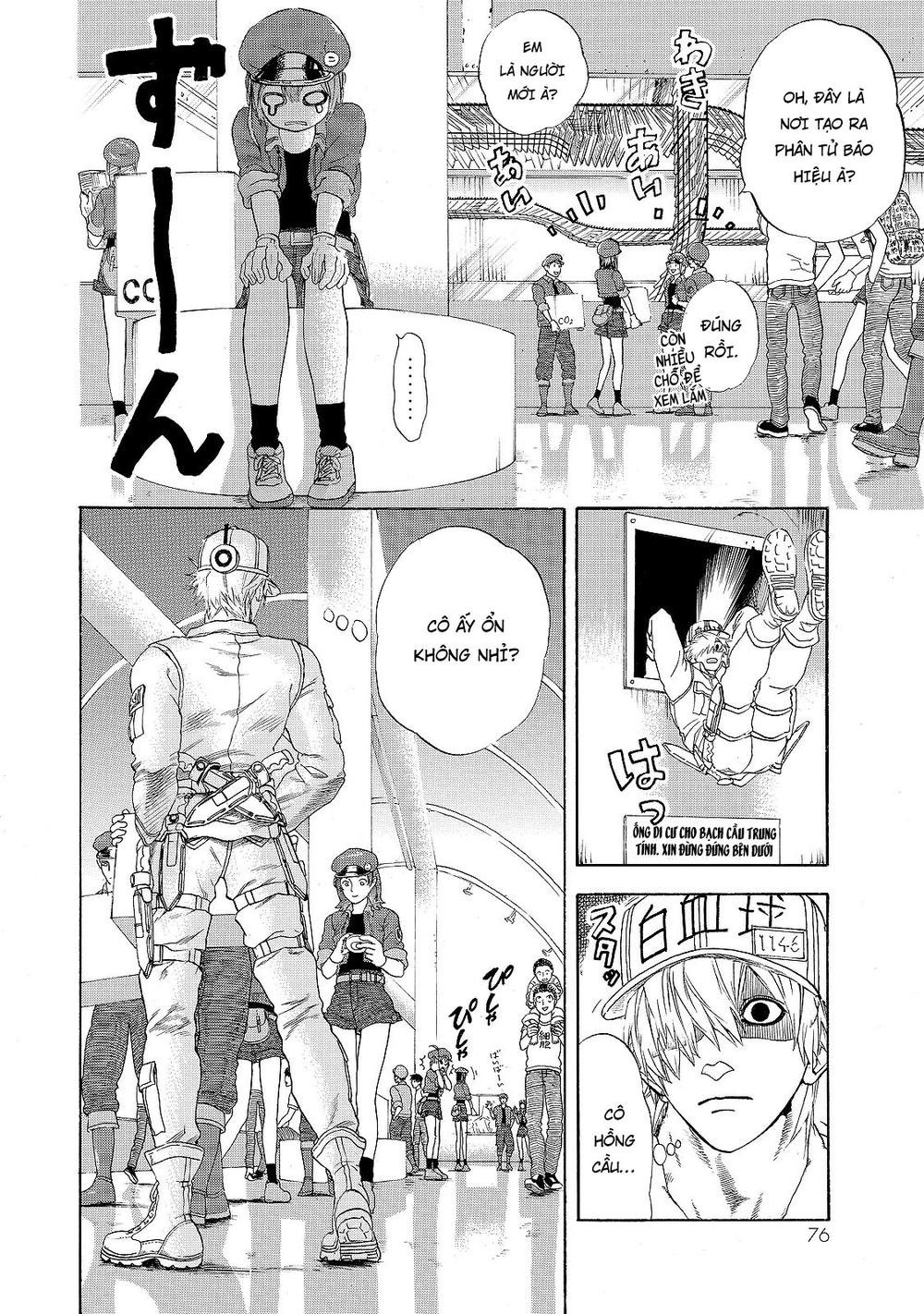 hataraku saibou! chapter 17 11