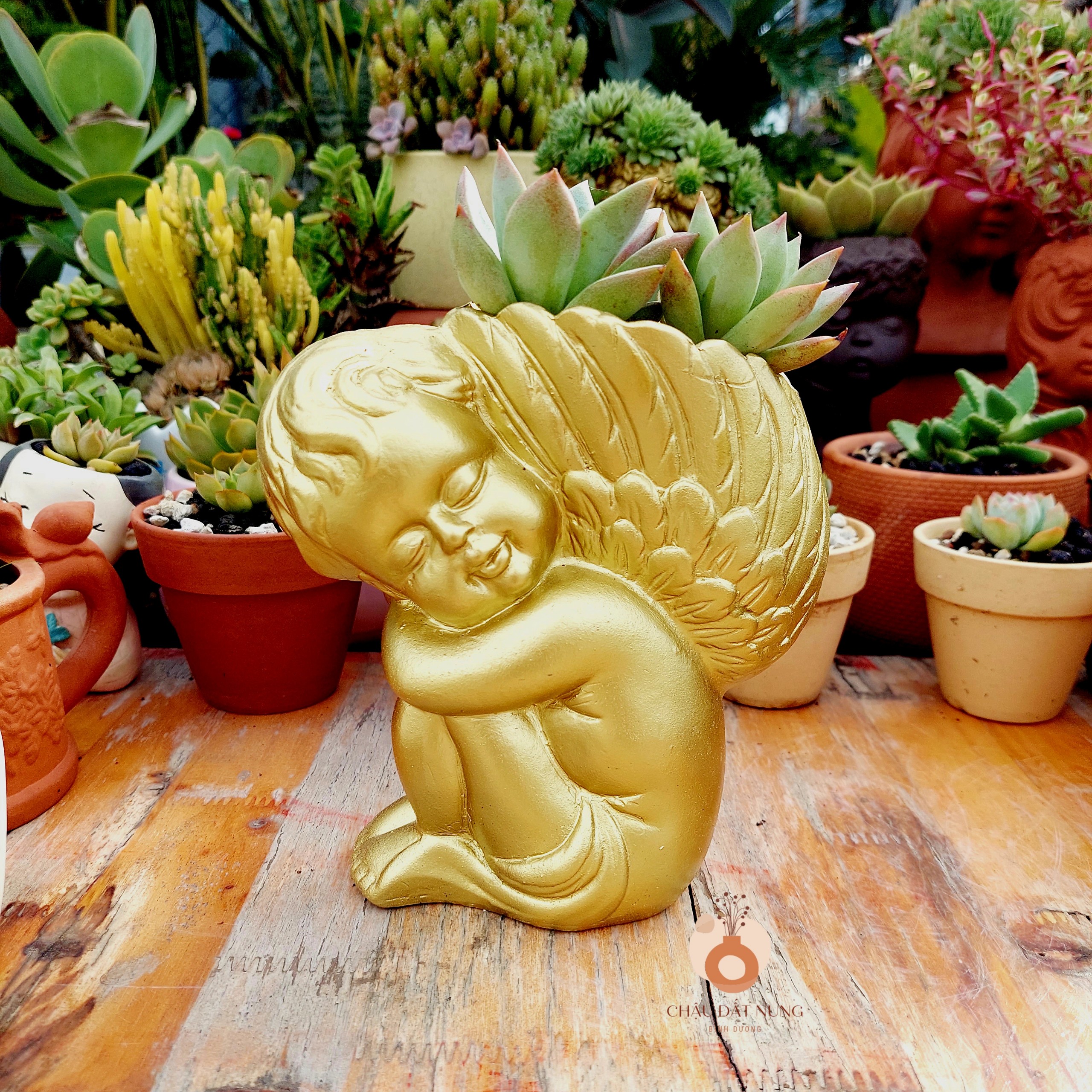 Chậu đất nung Bình Dương - Thiên thần 917, miệng chậu 9cm, chiều cao 17cm