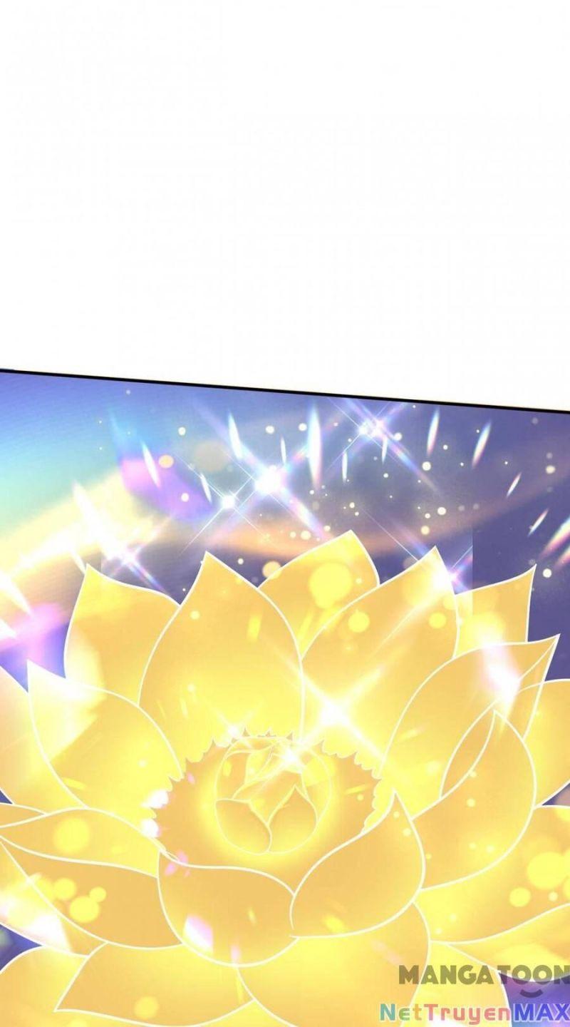 tối cường thần y tại đô thị chapter 274 25