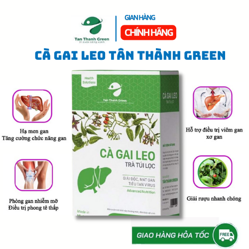 Trà túi lọc Cà Gai Leo giải độc gan Tân Thành Green hộp 50 túi