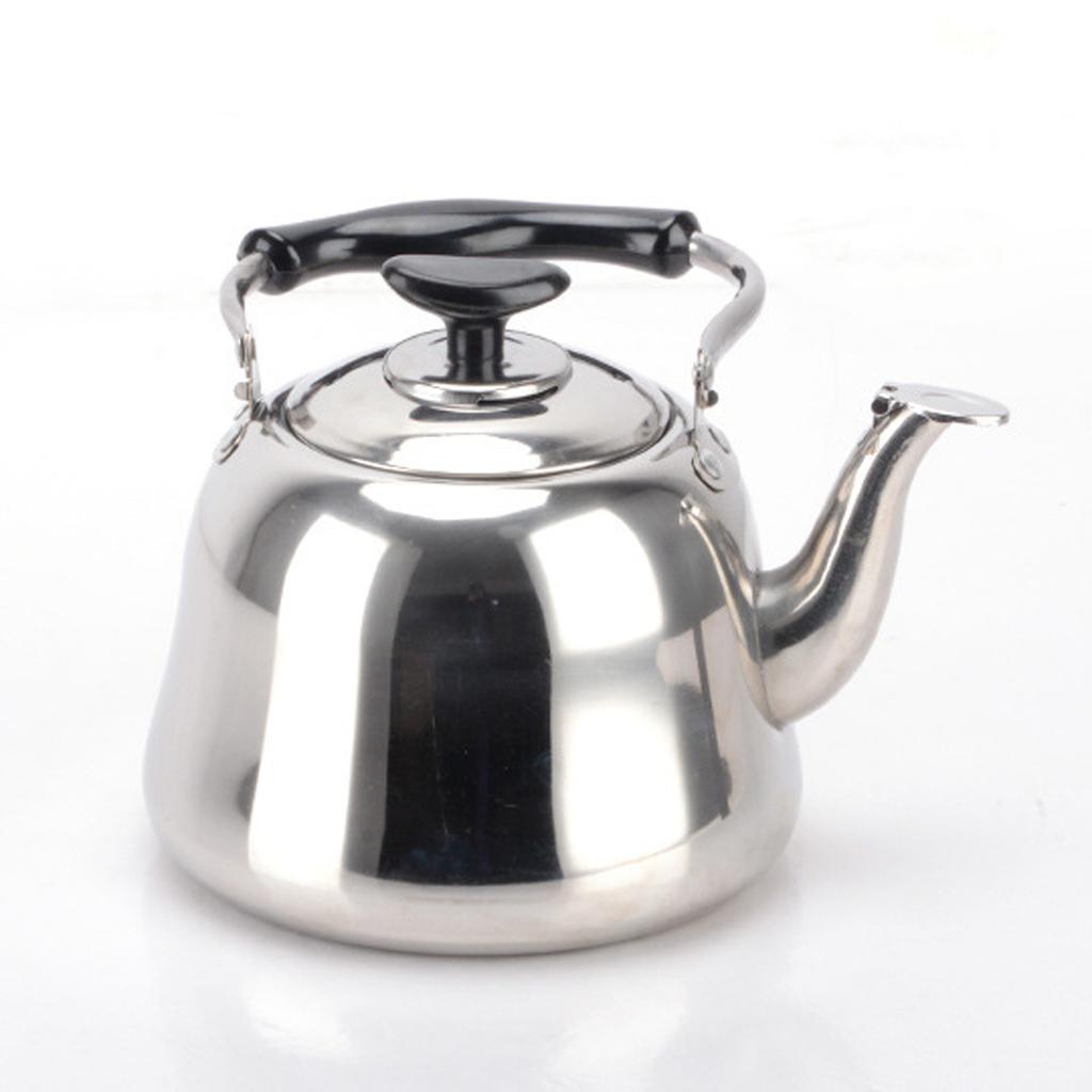 2x Stainless Steel Hot Water Tea Kettle with Whistle Sound Infuser Teapot 3L