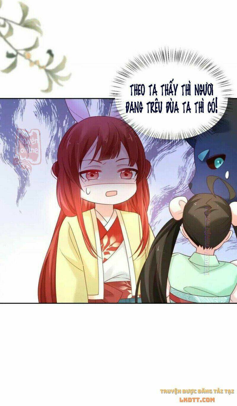 hắc hóa nam chính trực tuyến nuôi thỏ chapter 53 39