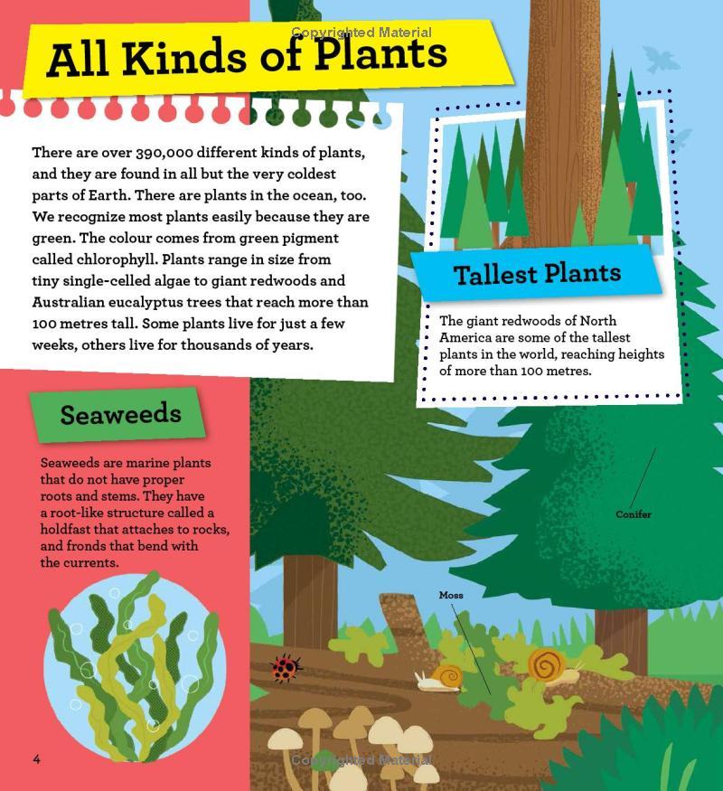 Sách ngoại văn: Discover It Yourself - Plants And Flowers