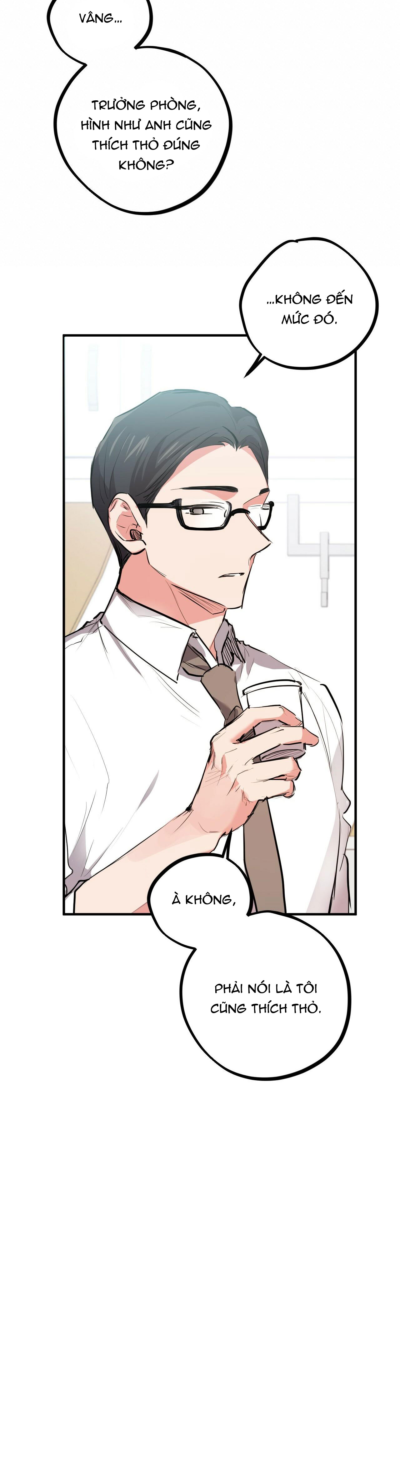 những chú thỏ của hapypy chapter 28 20