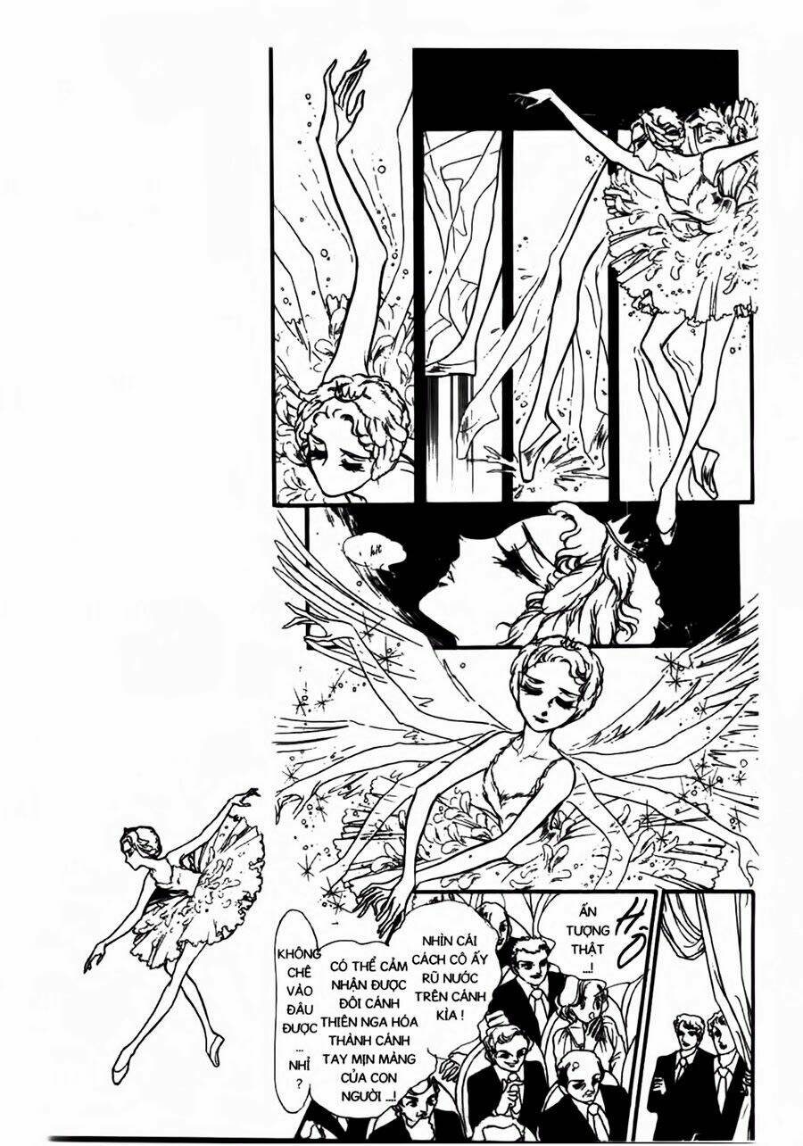 swan - vũ khúc thiên nga chapter 41 14