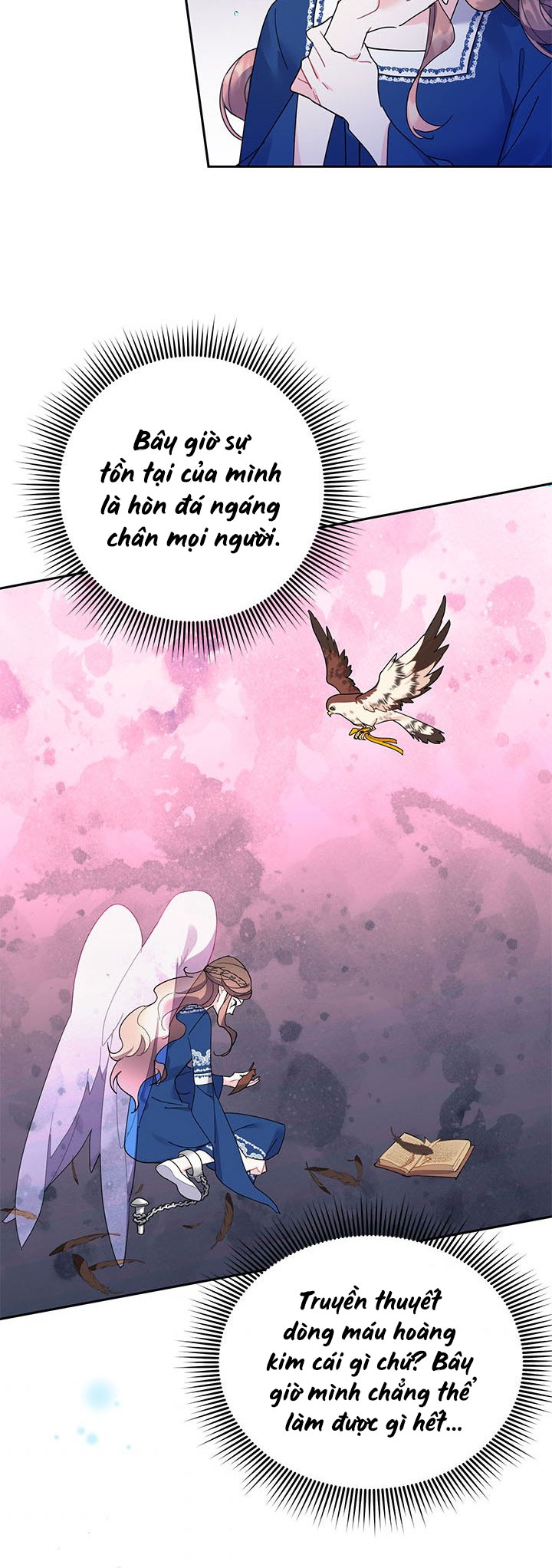 công chúa của loài chim chapter 29 31