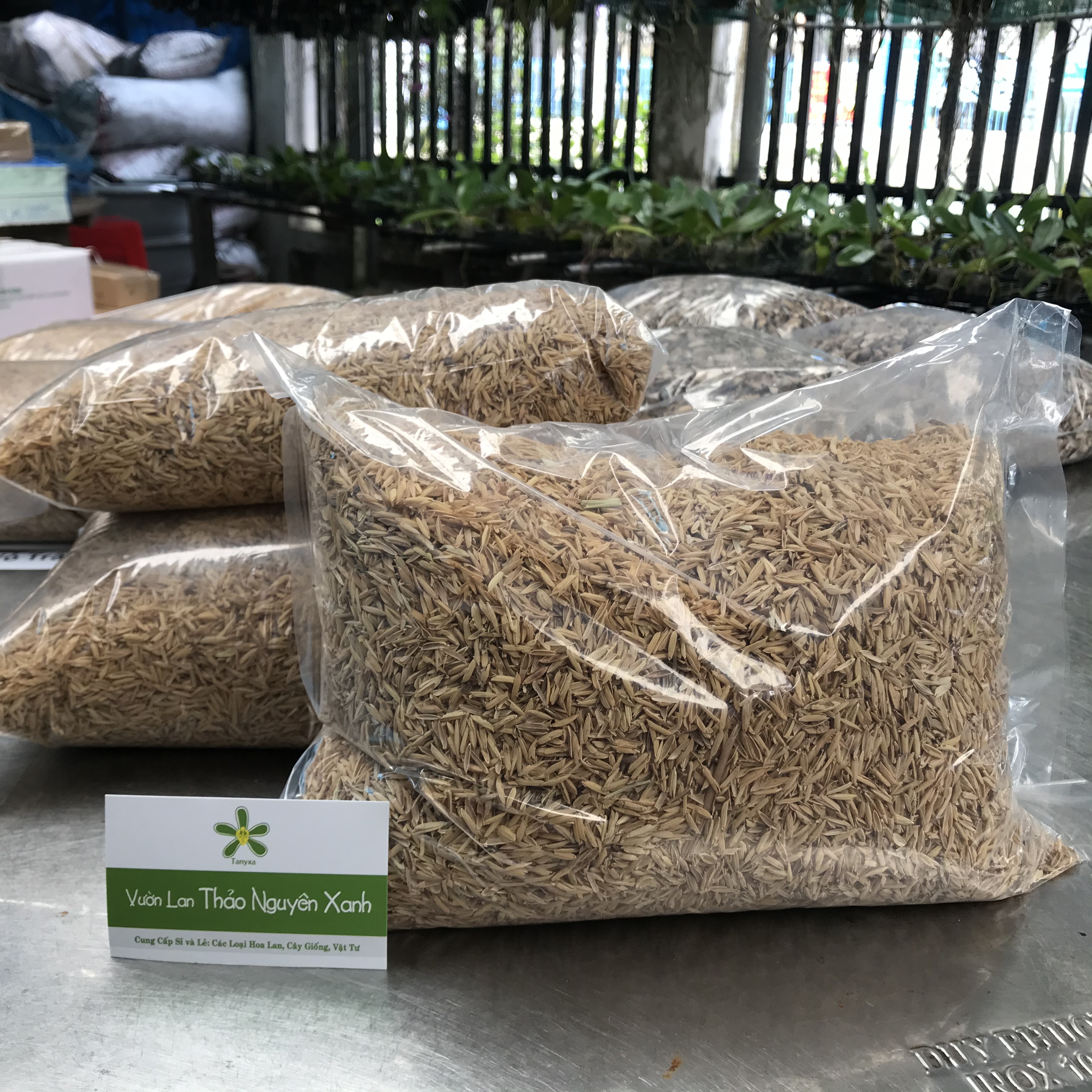 Vỏ Trấu Sống, Giá Thể Trồng Lan