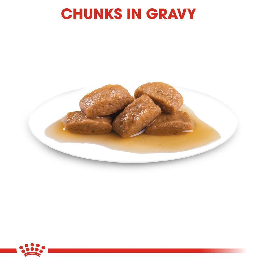 Pate Cho Chó Lớn Royal Canin Maxi Adult Gói