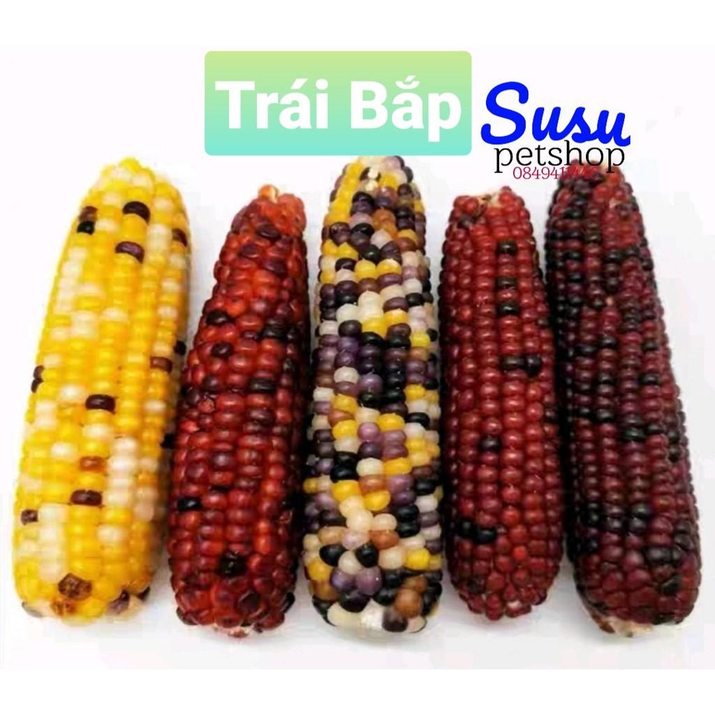 Bắp ngọt Mini dùng cho Thỏ, Hams, Bọ Ú và Chim