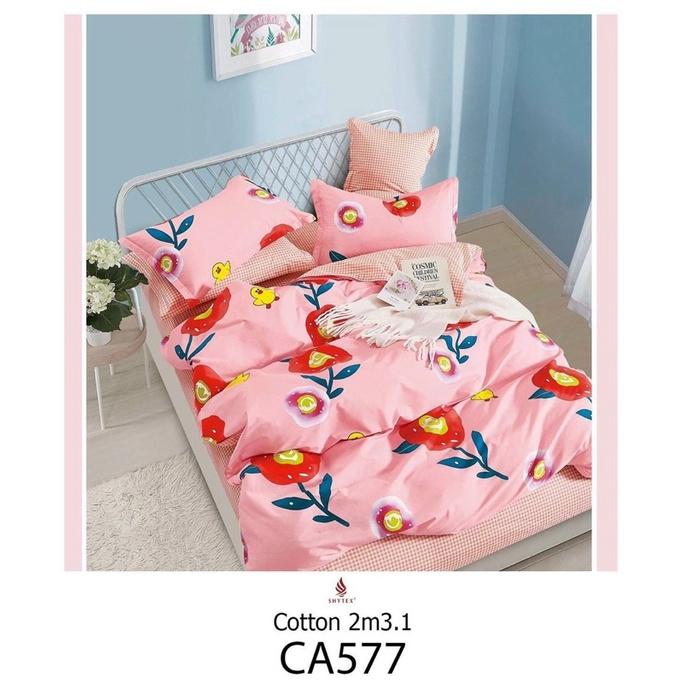 Bộ chăn drap gối Cotton 100% Hàn Quốc