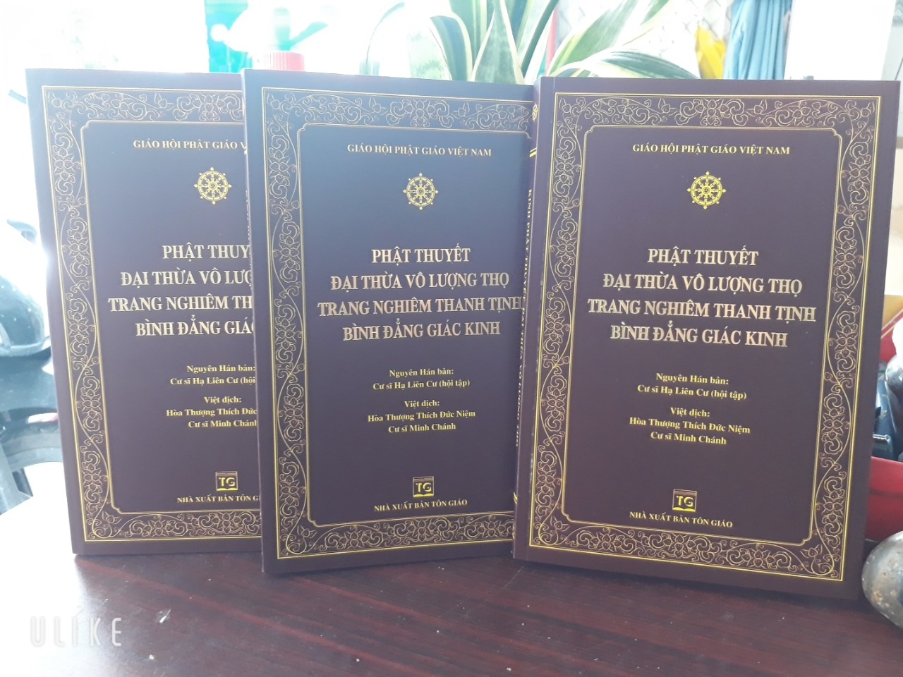 Hình ảnh PHẬT THUYẾT ĐẠI THỪA VÔ LƯỢNG THỌ TRANG NGHIÊM THANH TỊNH BÌNH ĐẲNG GIÁC KINH (BÌA DA)