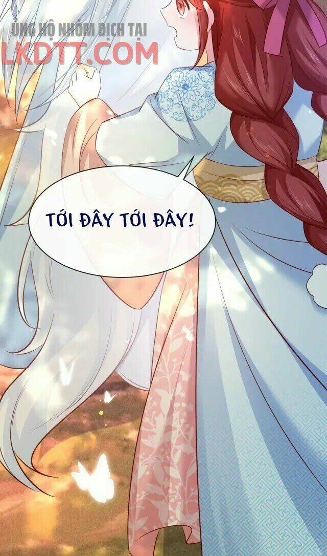 hắc hóa nam chính trực tuyến nuôi thỏ chapter 25 35